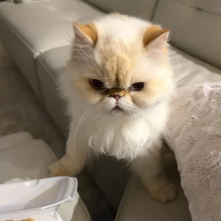 emmabutwithj