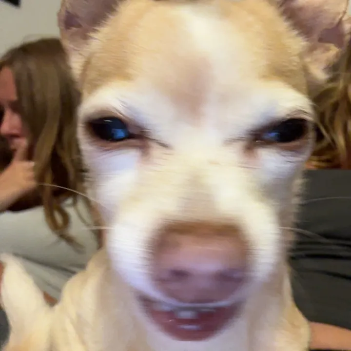 hyperpigmenpeyton692