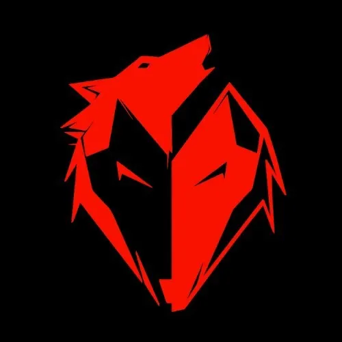 ekkovision.com
