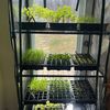 probablyoverwatering