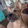 htx_raelyn_555