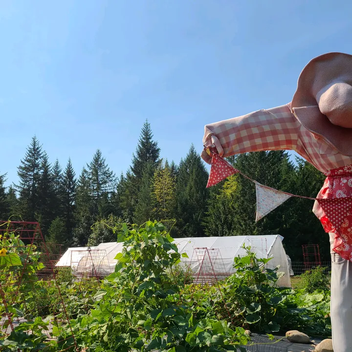 wildhavenfarm