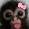 valerie_0576