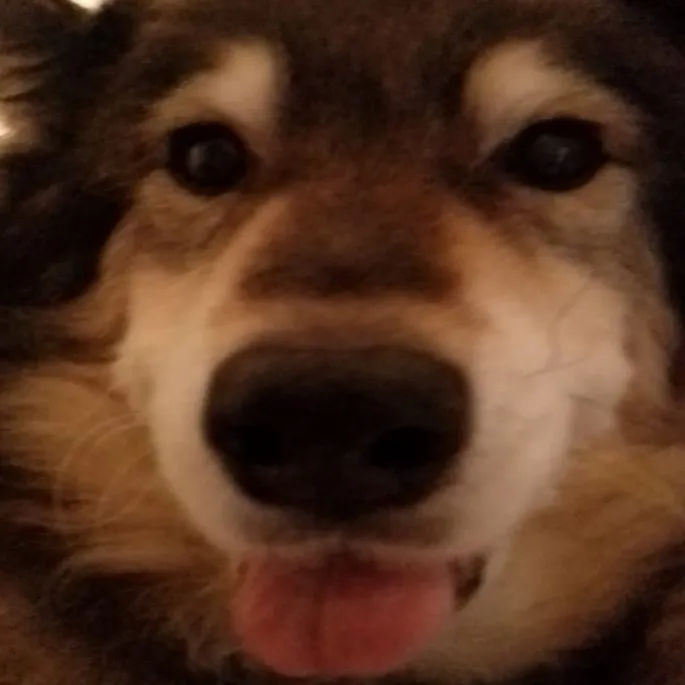 derpifiy
