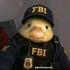 duckarmy011