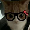 user9880815510836