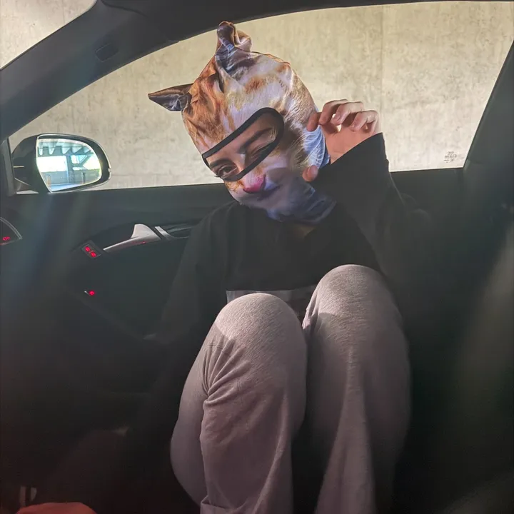 p3rsiankitty
