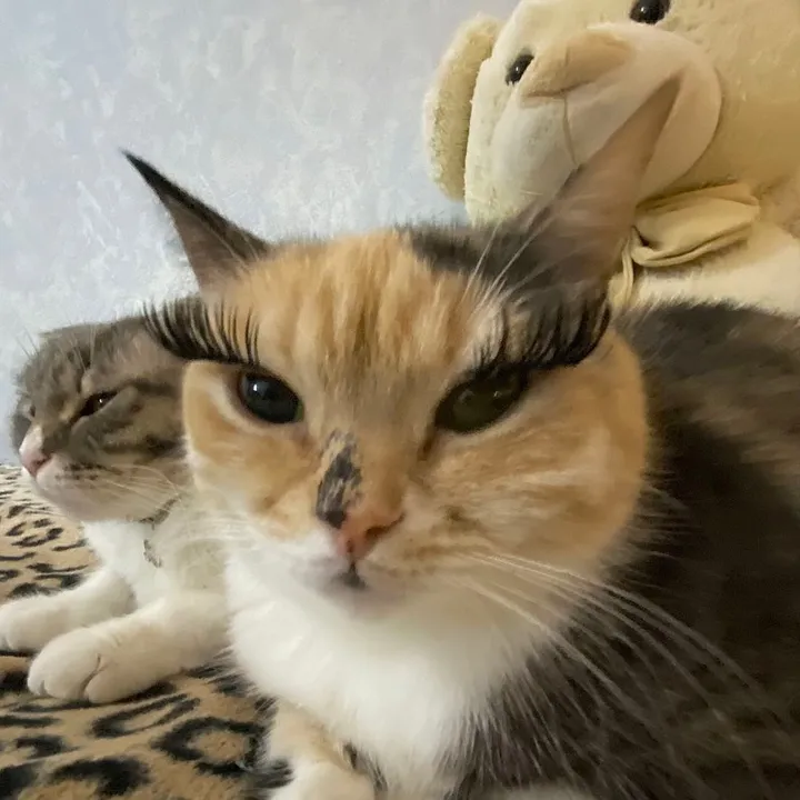 bewitched.nana