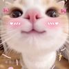 ashleydanahe1