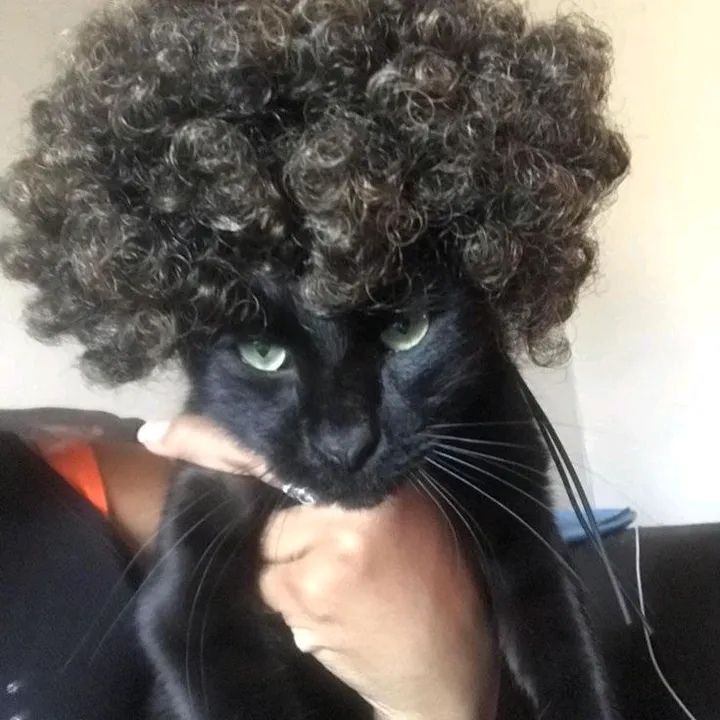 kaynn_n00