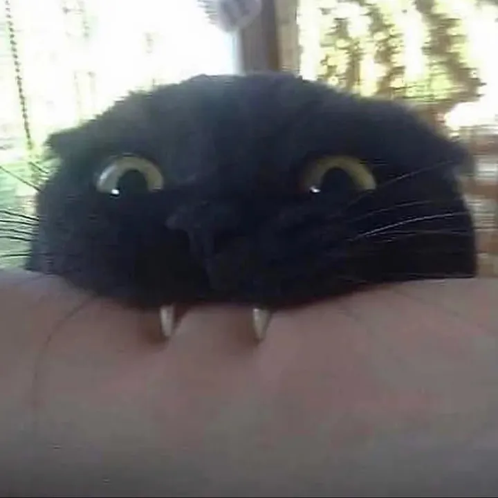 d3m0n.c0m
