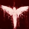 fanat_lexi
