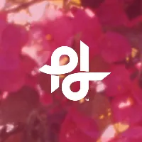 popilush.us