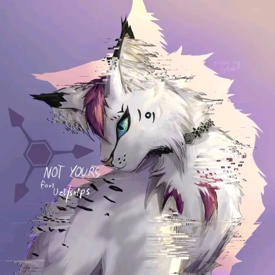 cybercyn