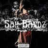 officialsaiibandz