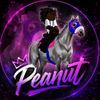 peanut2raw251
