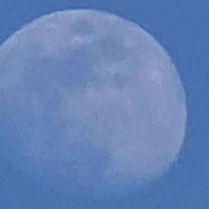 nellag85