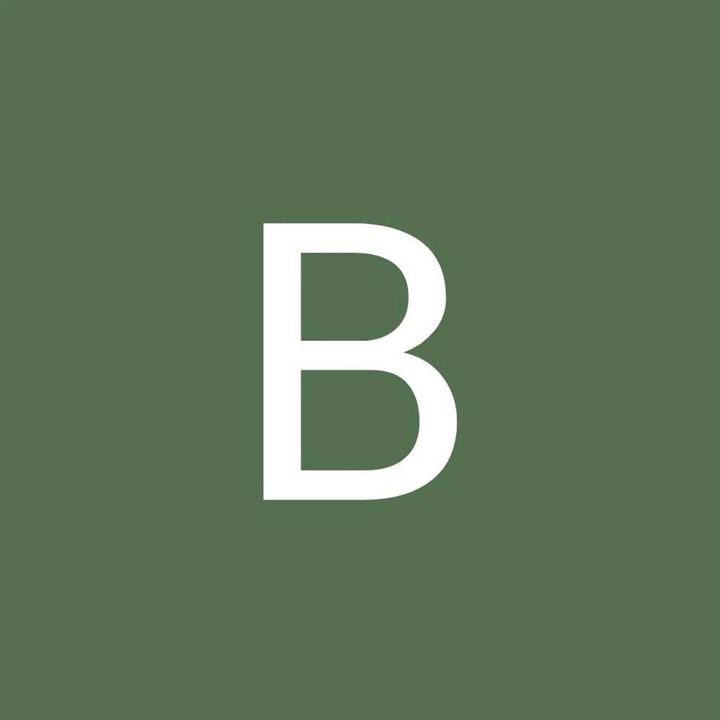 .bolt - original sound_edits7