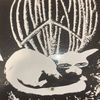 maxiizded