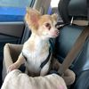 lucasthechi07