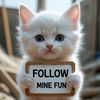 mine.fun1