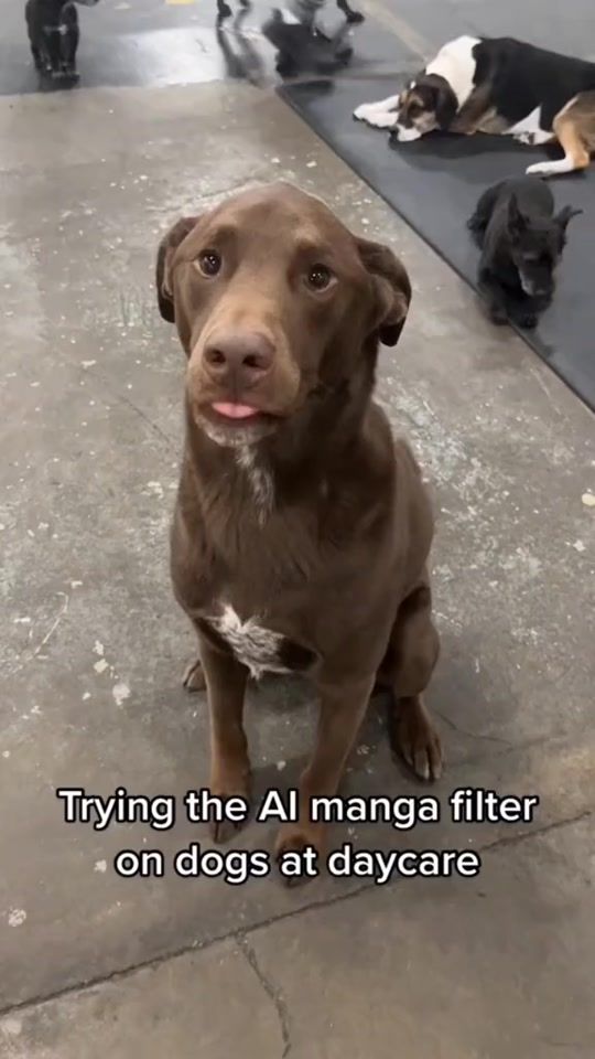 TikTok video thumbnail by sorlden1