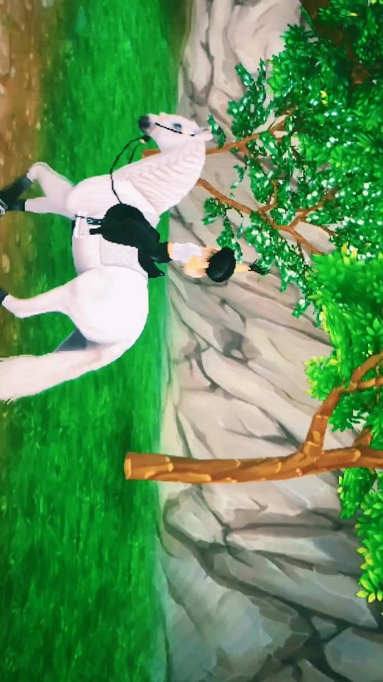 TikTok video thumbnail by starstable_.gaits.editz