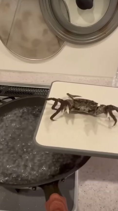 TikTok video thumbnail by si_manang