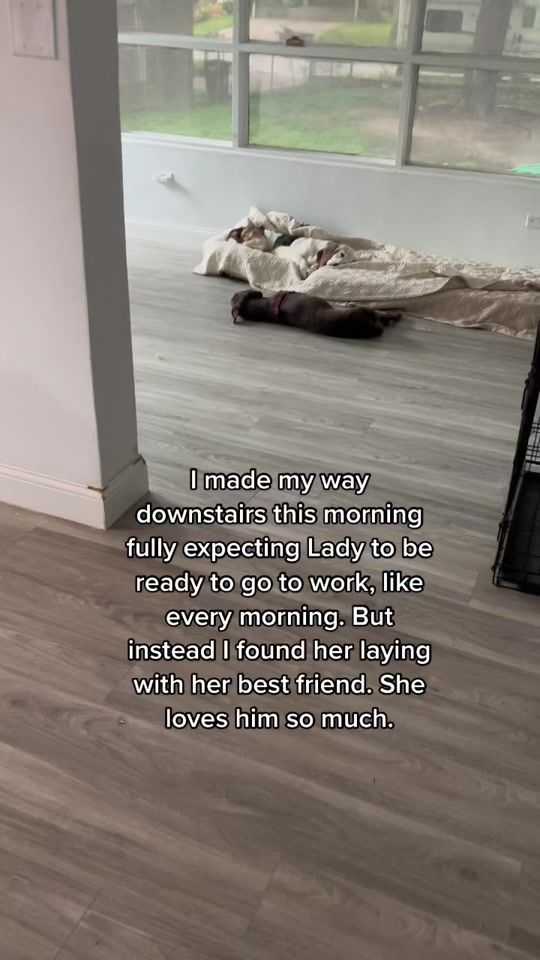 TikTok video thumbnail by therootroots