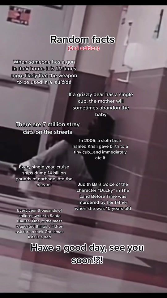 TikTok video thumbnail by random_xd_facts