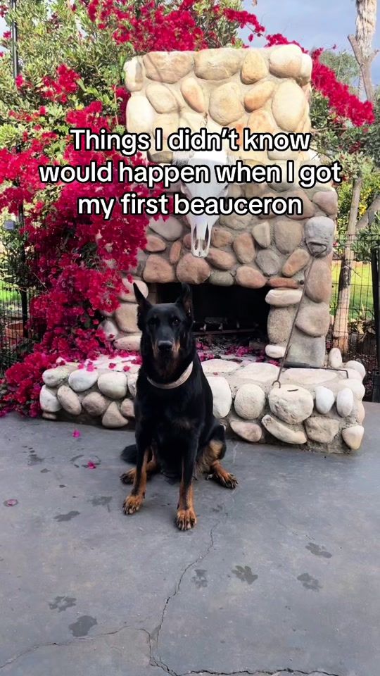 TikTok video thumbnail by royalebeaucerons