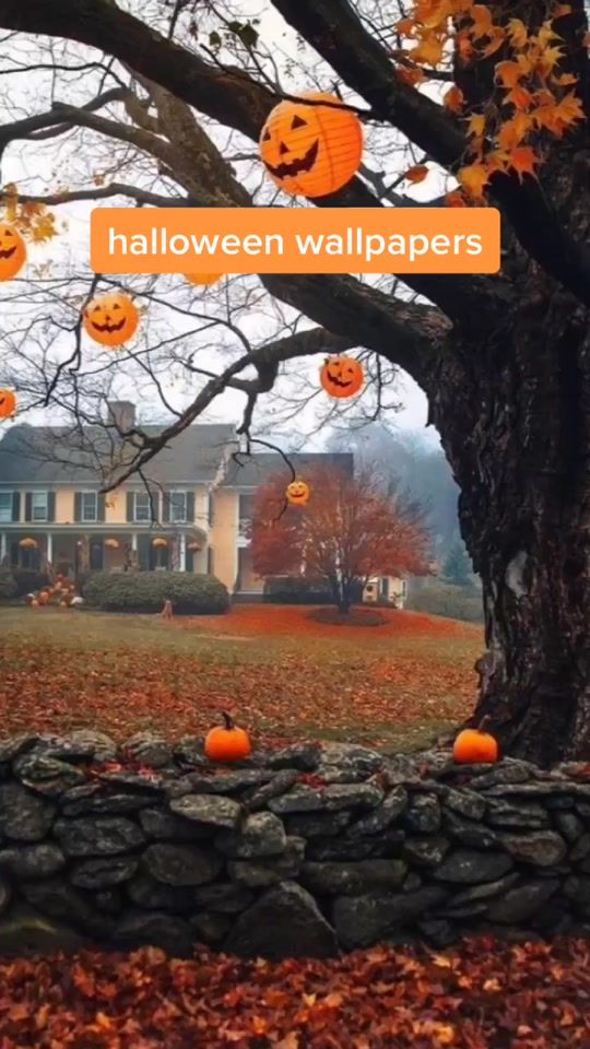 TikTok video thumbnail by _everything.halloween_0