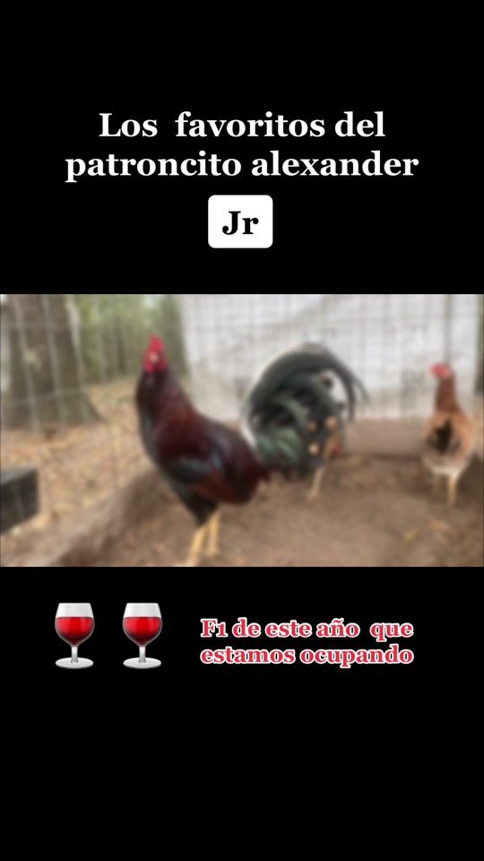 TikTok video thumbnail by gabrielaltamirano094