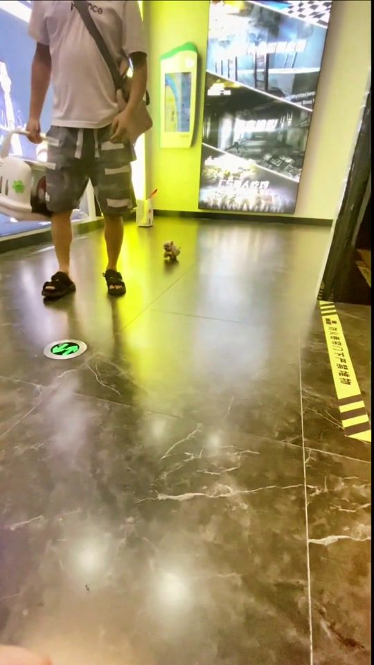 TikTok video thumbnail by shlormi
