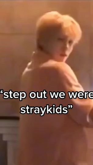TikTok video thumbnail by straykidsgofundme