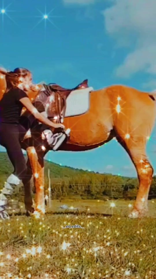 TikTok video thumbnail by equineedits.official