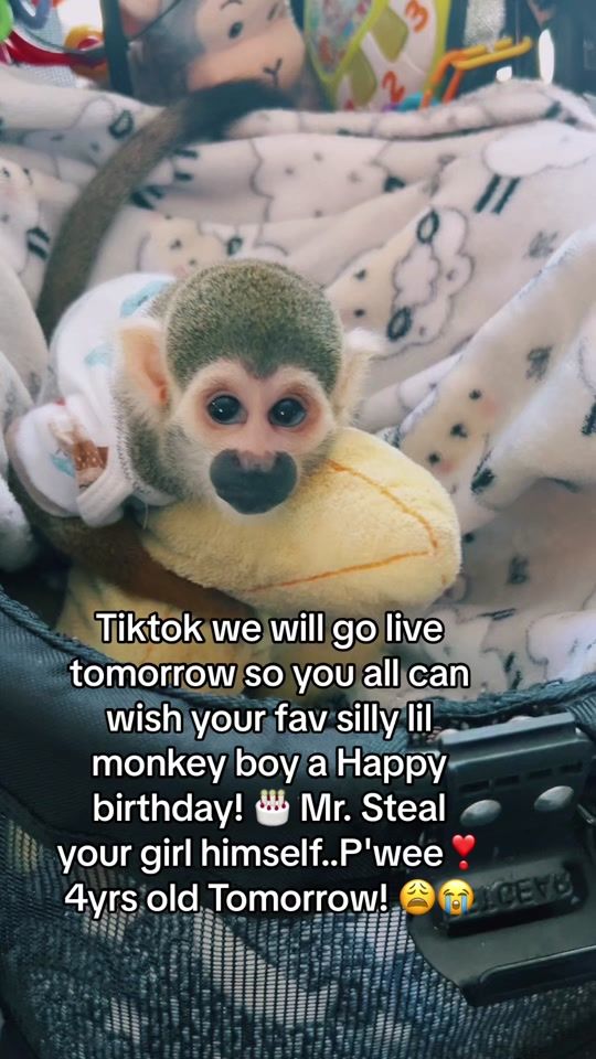 TikTok video thumbnail by yari_rican