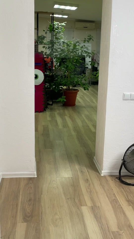 TikTok video thumbnail by jollyco.vr