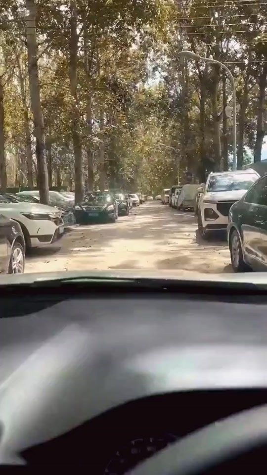 TikTok video thumbnail by autobee_582