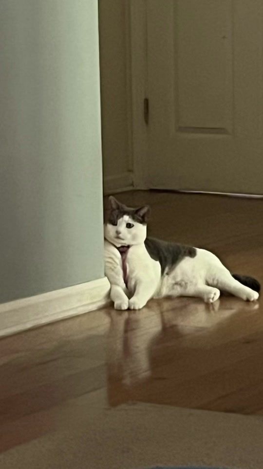 TikTok video thumbnail by hotmamma987