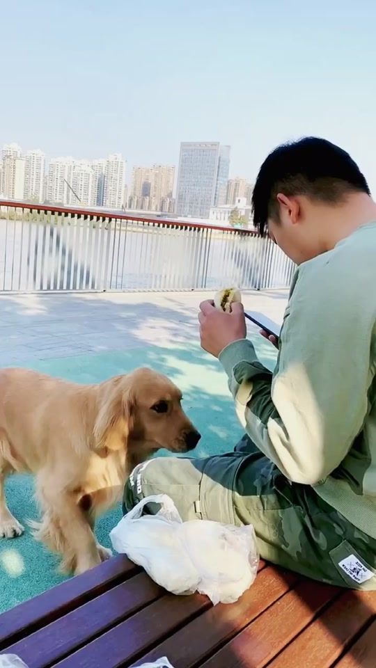 TikTok video thumbnail by cutedog8899