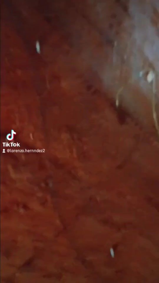 TikTok video thumbnail by lorenzo.hernndez2