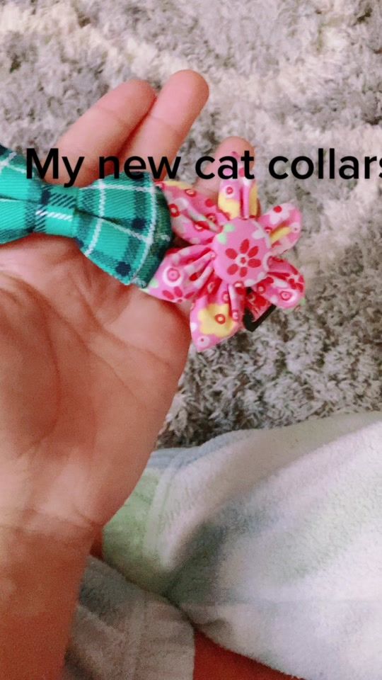 TikTok video thumbnail by babbykittens24