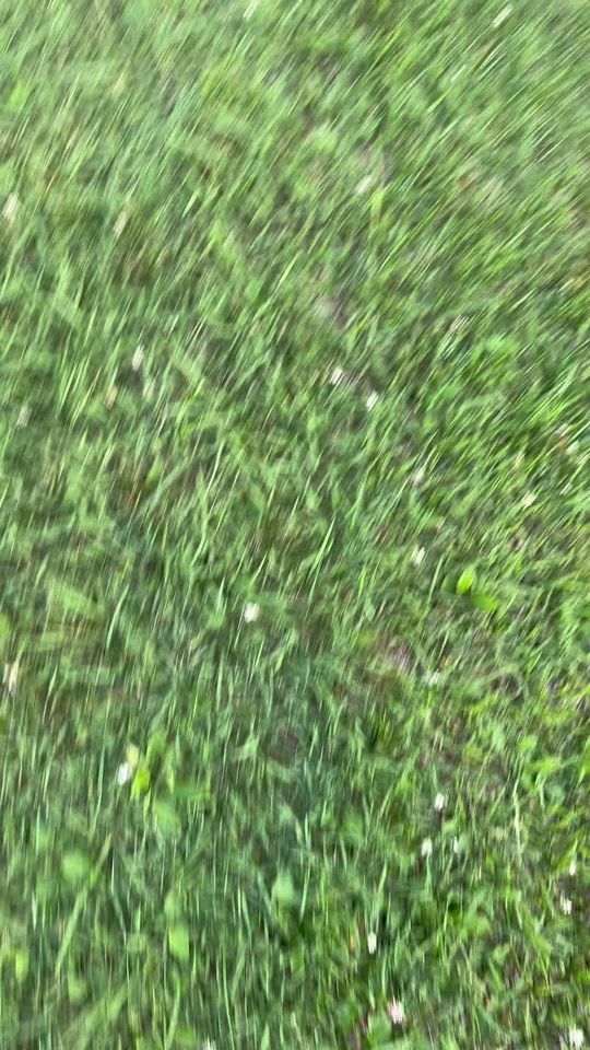 TikTok video thumbnail by prondy_lml