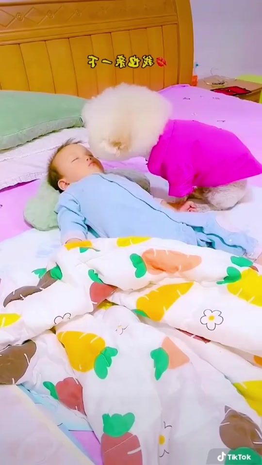 TikTok video thumbnail by thucungdethuong50