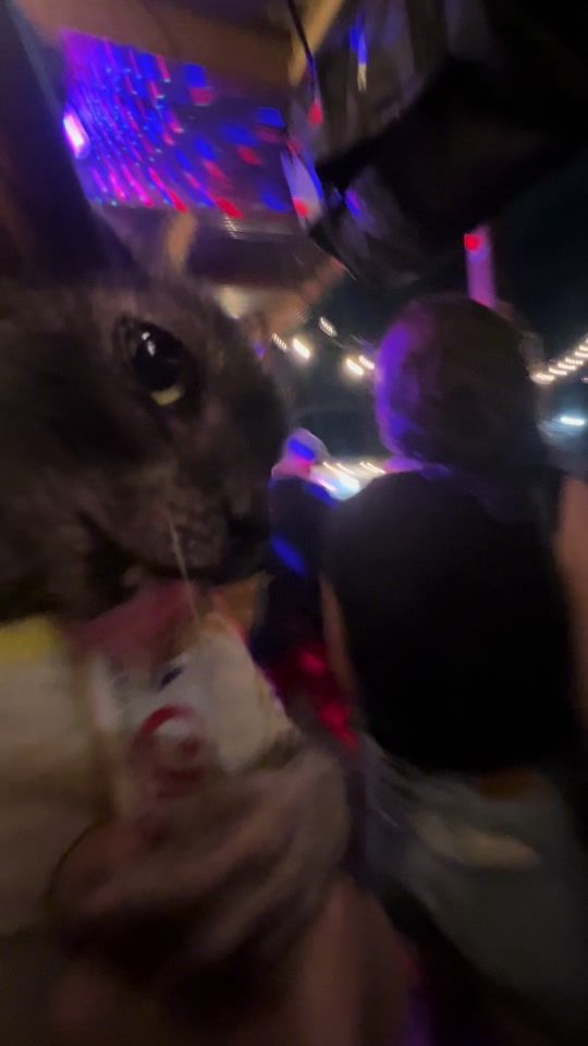 TikTok video thumbnail by chupiedoesntgiveameow