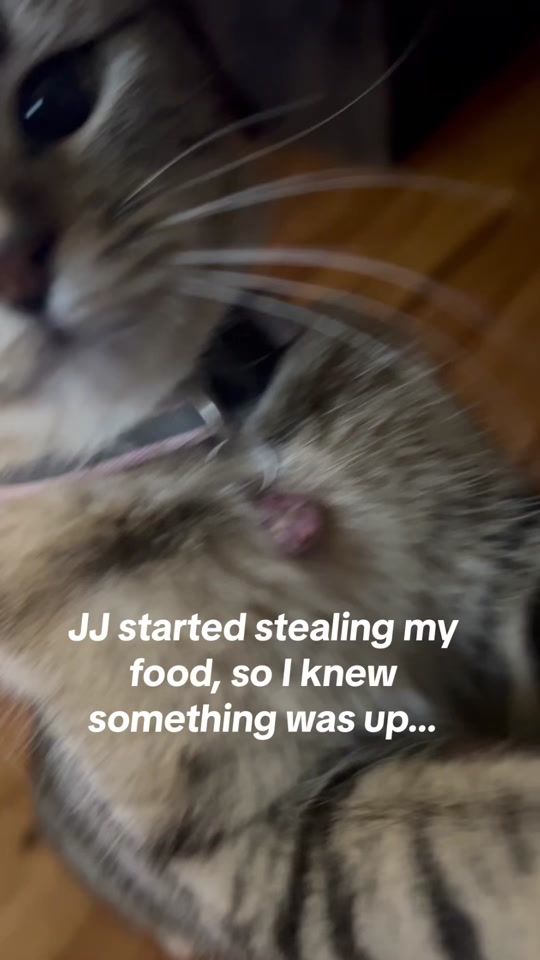 TikTok video thumbnail by zaramarlow