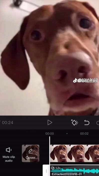 TikTok video thumbnail by cacaspeedy