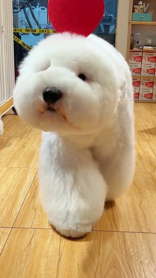 TikTok video thumbnail by tonywang175
