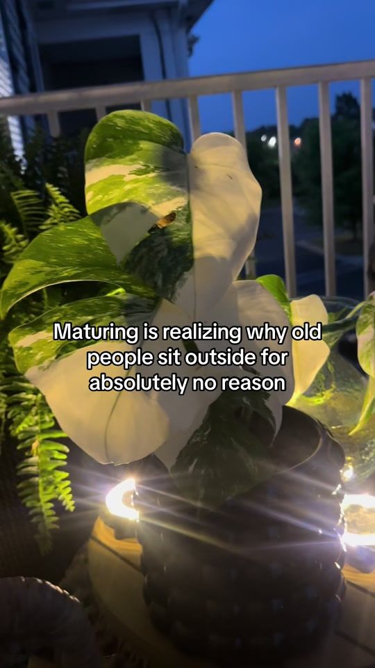 TikTok video thumbnail by real.estate.agent